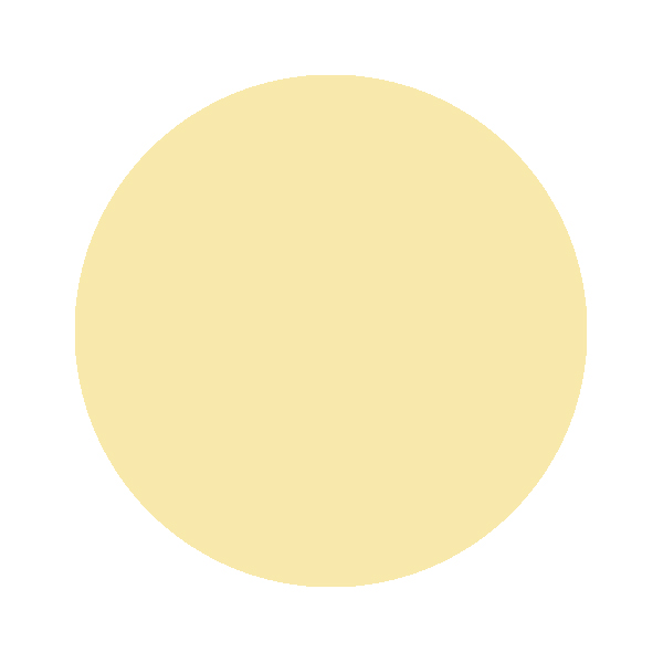 scala31-renk